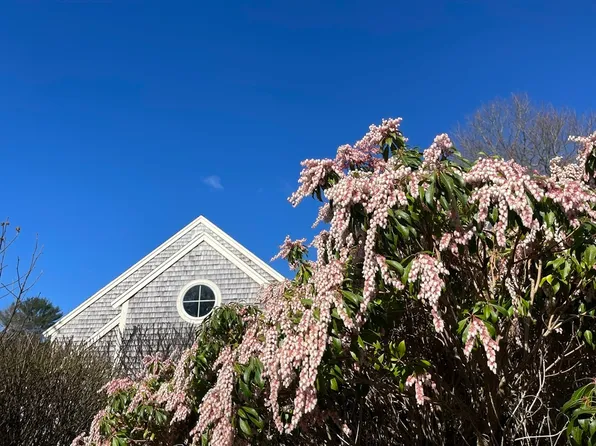 33 Gold Leaf Ln Unit 33, Mashpee, MA 02649