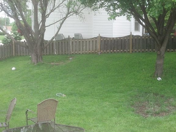 Shade Trees, Willow and Pear