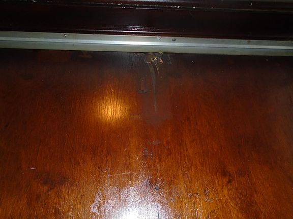 4th image of 1335 Cove Ave APT 2