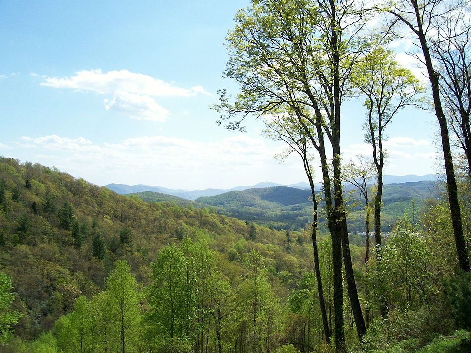 Deck View