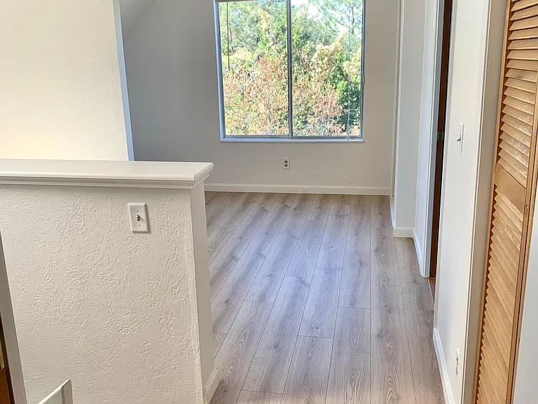 16838 Lively Wood Ln — Photo 5