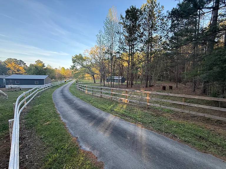2850 County Road 233D — Photo 19