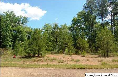 1st image of 100 County Road 695