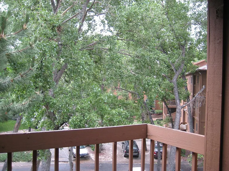 2932 Shadow Creek Dr — Photo 3