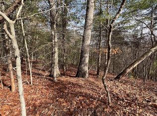 0 Cottonwood Dr, Mount Jackson, VA 22842