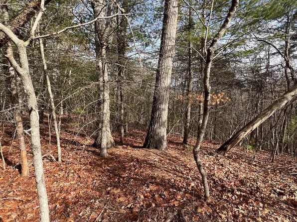 0 Cottonwood Dr, Mount Jackson, VA 22842