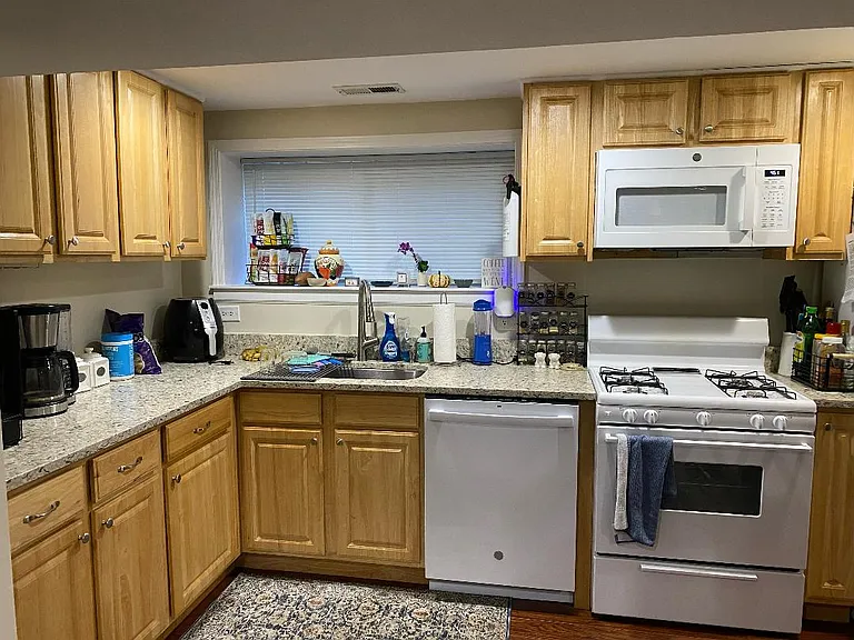 1709 W Irving Park Rd #GARDEN — Photo 2