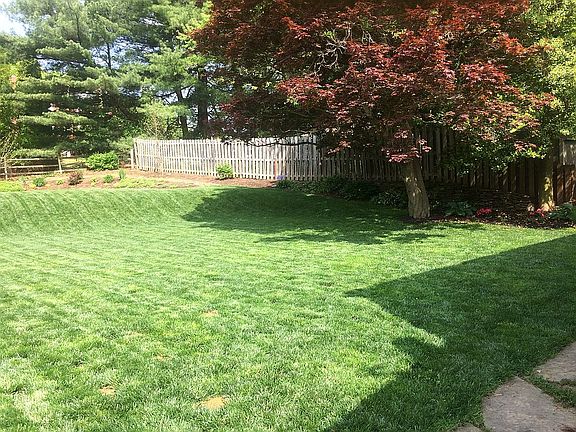 Large Back Yard