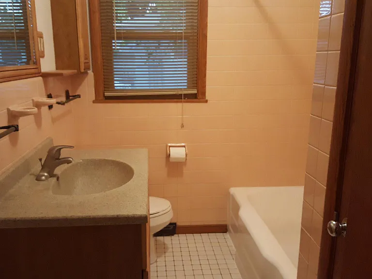 Bathroom (main level)
