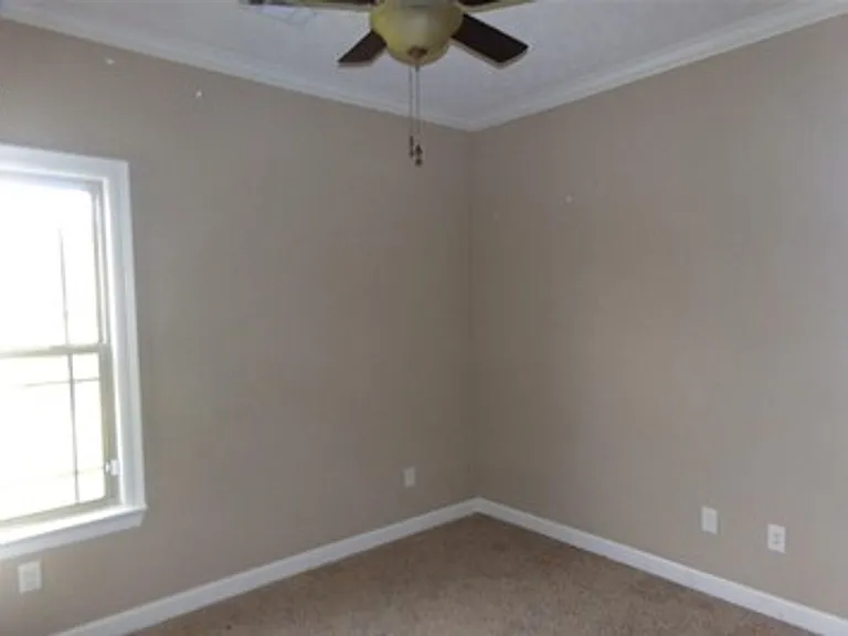 18 Cains Cv — Photo 11