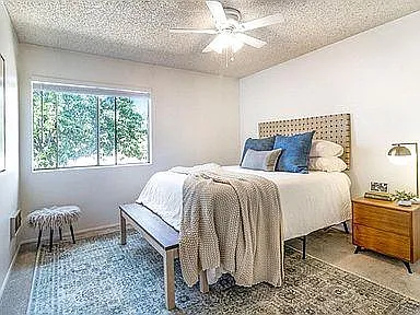 204 Woodland Pkwy — Photo 4
