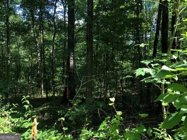 LOT 4 Daniel Rd, Demorest, GA 30535