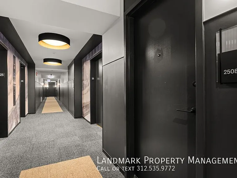 234 W Polk St #2508 — Photo 24