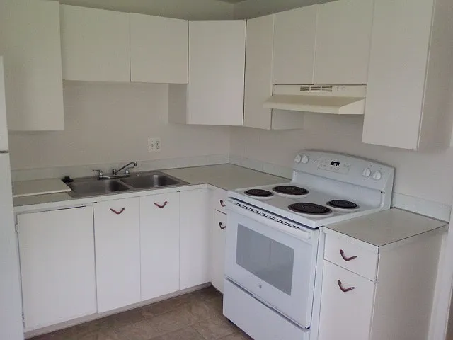 2 bed, 1000 sqft, $1,500 — Photo 3