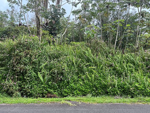 2nd image of 13-942 Kahukai St Lot 33