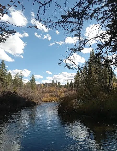 1532 Snowmass Creek Rd — Photo 24