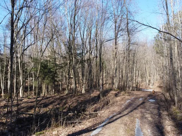 0 Polar Rd, Bryant, WI 54418