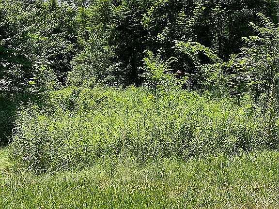 2nd image of 6393 Camp Blvd