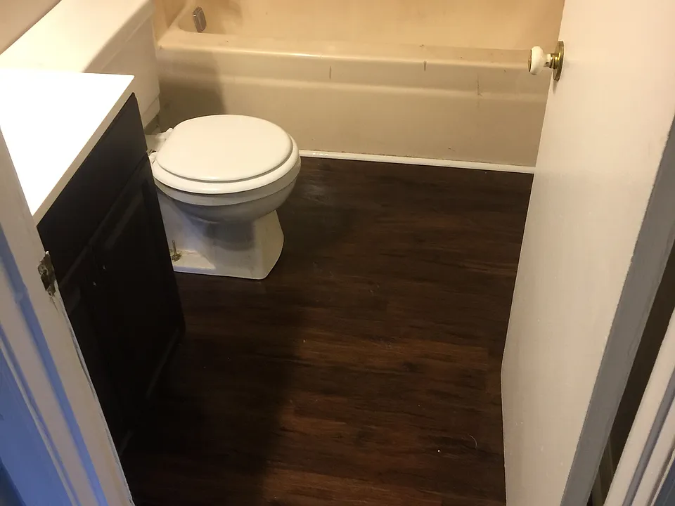Bathroom Pic 1_06082018