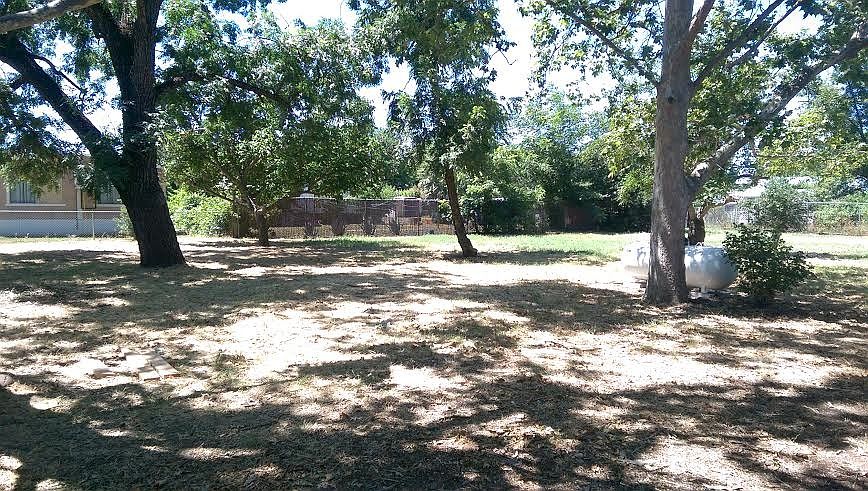 Back yard