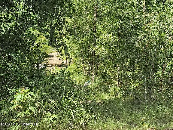 3rd image of 3210 Forest Avenue Ext