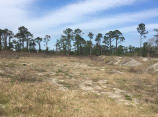 140 Sycamore Sunshine Ln, New Smyrna Beach, FL 32168