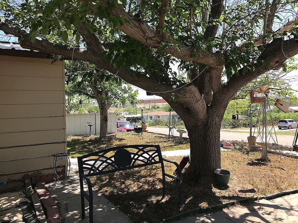 Large trees in front yard