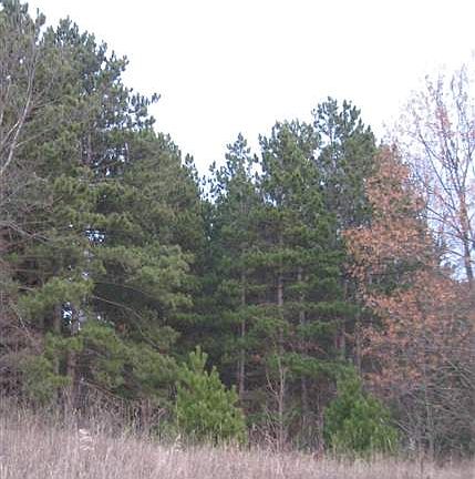 3rd image of 1995 Club House Dr