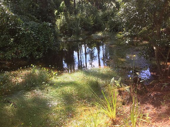 Canal in back of lot
