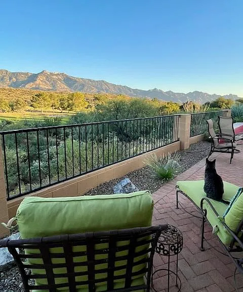37401 S Samaniego Dr — Photo 12