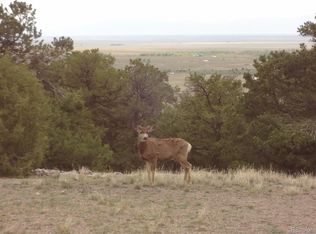 2702 Holiday Way, Crestone, CO 81131