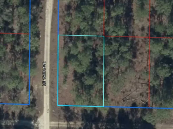 NE 15th Ln Lot 11, Williston, FL 32696