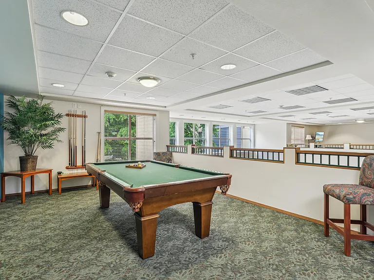 Pool Table Area