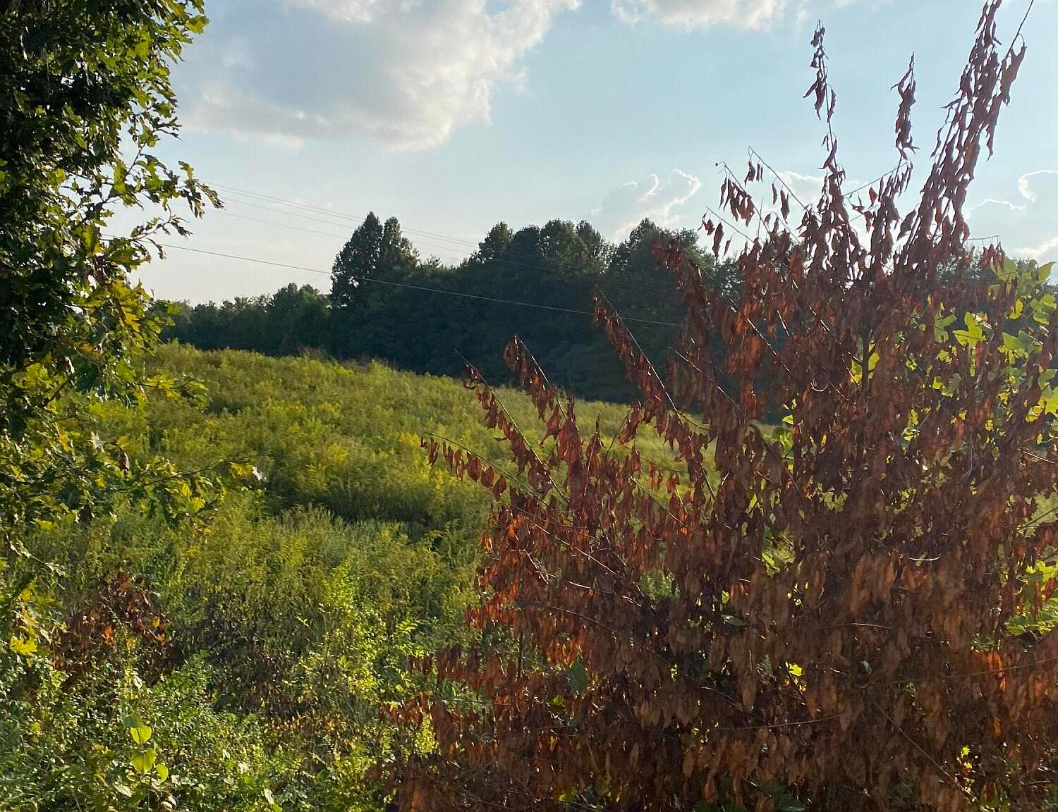 Coopertown Leatherwood Tract Rd 5, Oneida, TN 37841 MLS 1238788