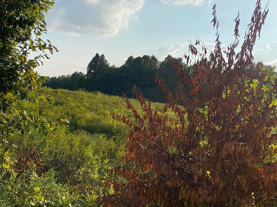 2nd image of Coopertown Leatherwood Tract Rd #5