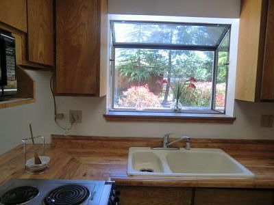 Garden window - beautiful back yard