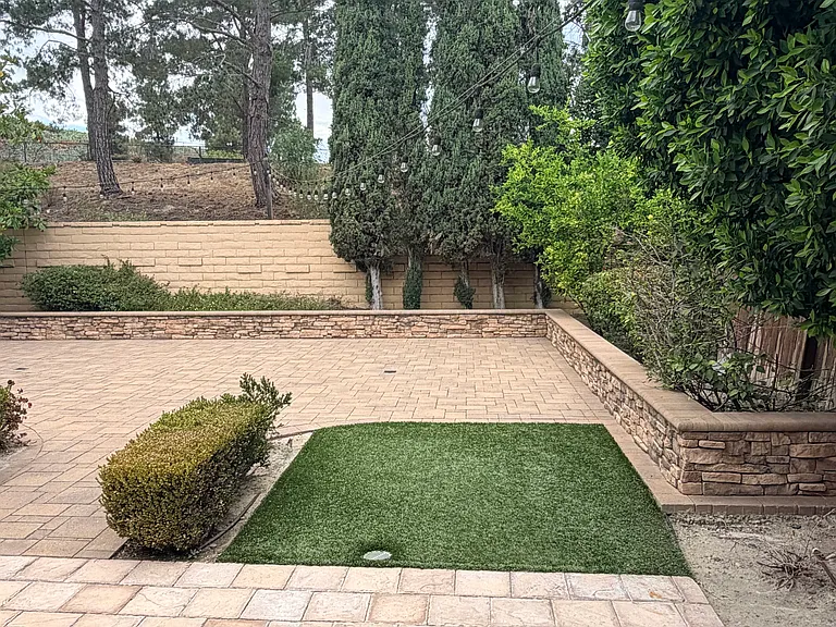 27331 Pinavete — Photo 8