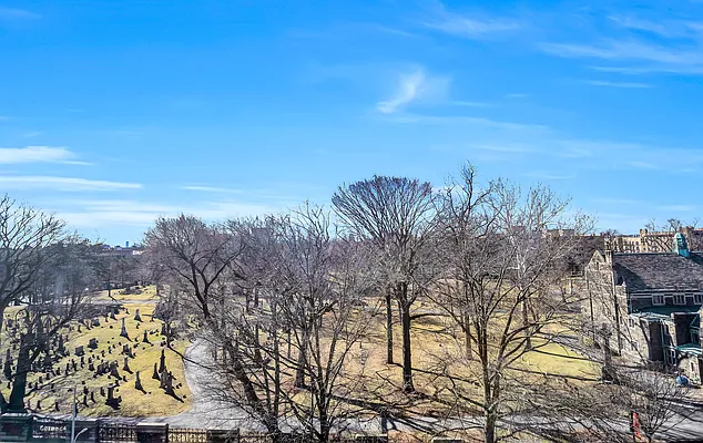 Rented by Douglas Elliman | media 15