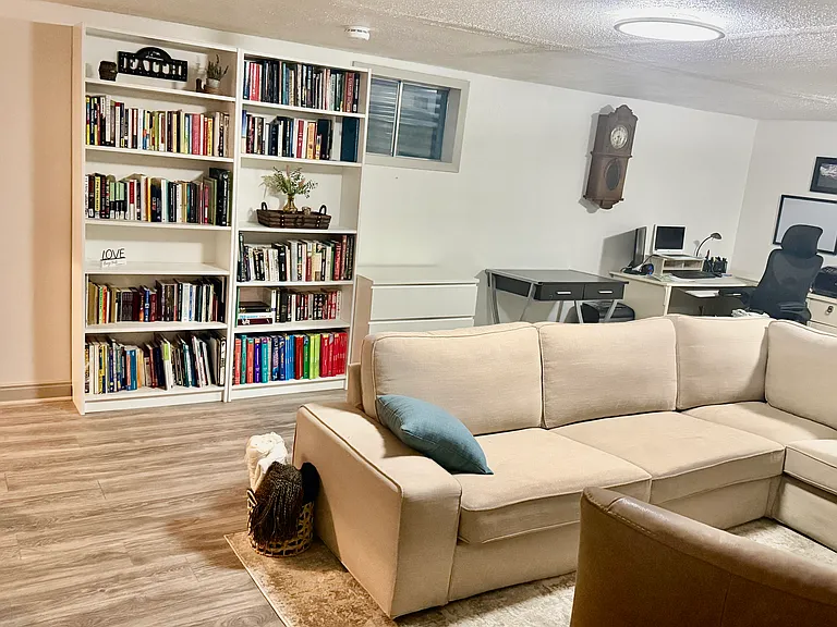 Basement living room