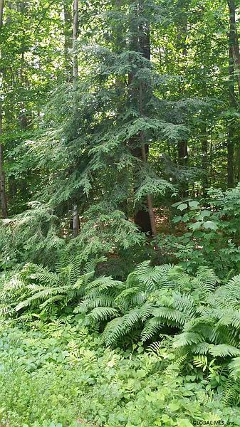 4th image of 0 BLANCHARD Road