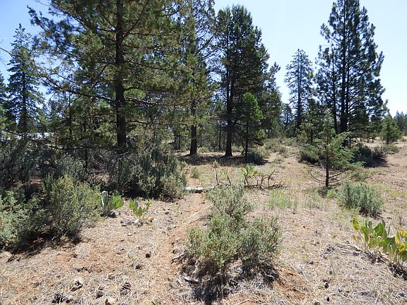 3rd image of 85 W Ponderosa Dr