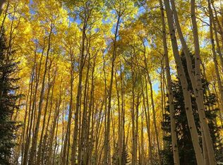 301 Balsam Rd, Cimarron, CO 81220