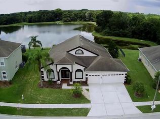 7738 Crescent Palm Dr, Wesley Chapel, FL 33545