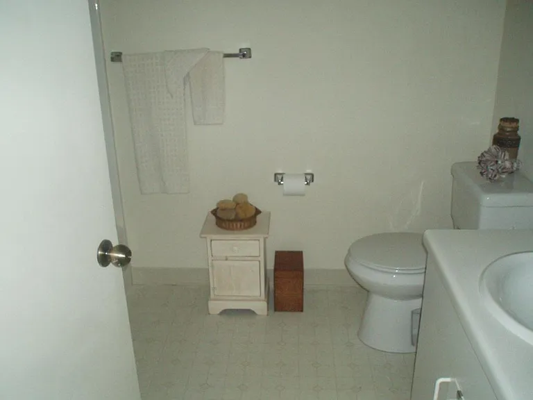 413 6th Ave #304 — Photo 9