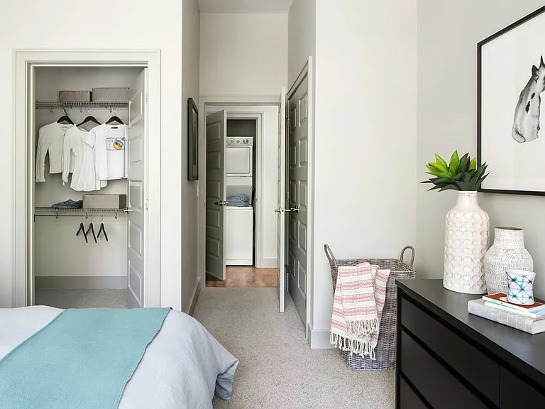 Spacious apartment bedroom with large closet and plush carpet flooring.