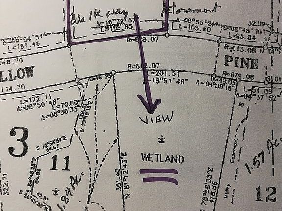 Survey w/ wetland location