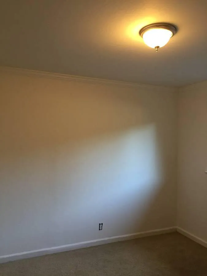 3 bed, 1207 sqft, $4,350 — Photo 4