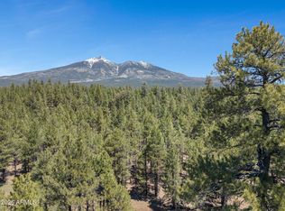 5216 Hidden Hollow Road #-, Flagstaff, AZ 86001