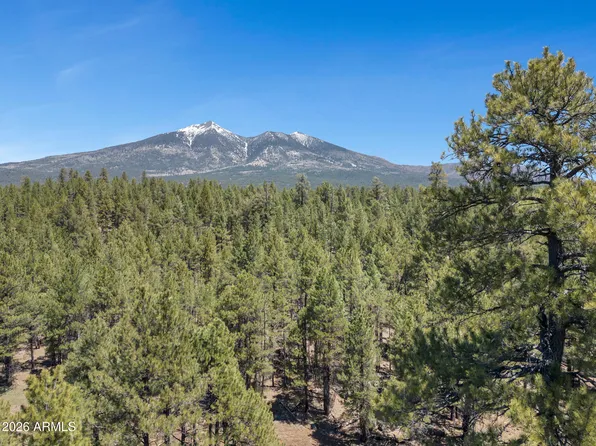 5216 Hidden Hollow Road #-, Flagstaff, AZ 86001