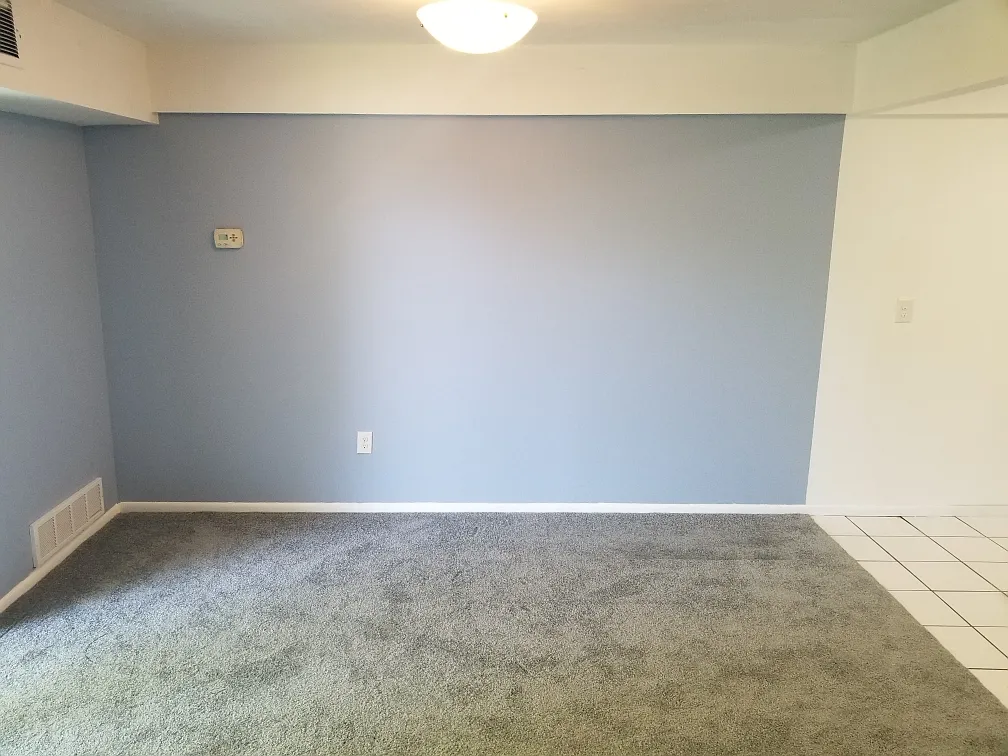 1 bed, 800 sqft, $1,500 — Photo 2